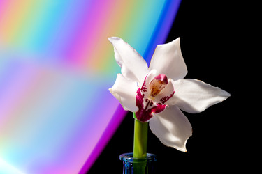 Similar image 22535185