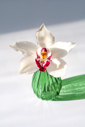 Similar image 22535190