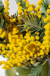 Similar image 22535192