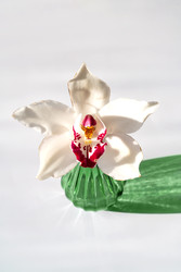 Similar image 22535196