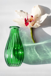 Similar image 22535199