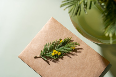 Similar image 22535207