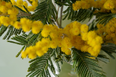 Similar image 22535208