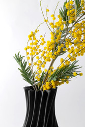 Similar image 22535217