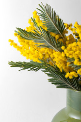 Similar image 22535218