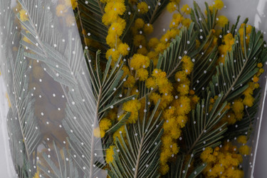 Similar image 22535219