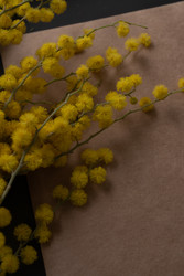 Similar image 22535220