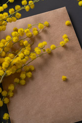 Similar image 22535222