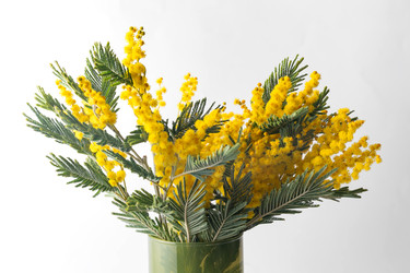 Similar image 22535223