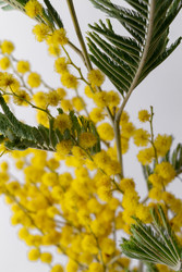 Similar image 22535225