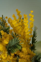 Similar image 22535226