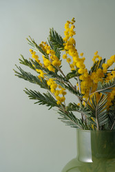 Similar image 22535227