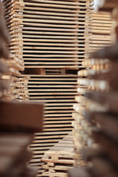 Similar image 22555918