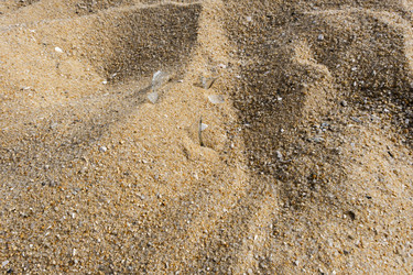 Similar image 22527533