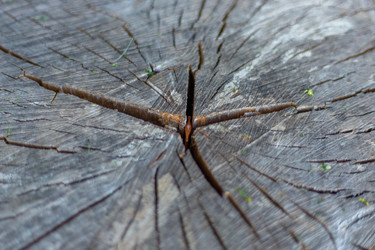 Similar image 22530428