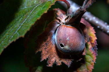 Similar image 22530430