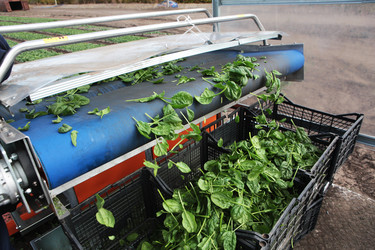 Similar image 22555919