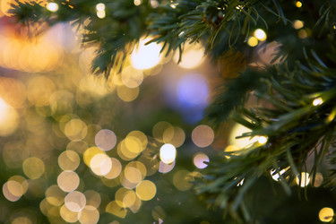 Similar image 22562051