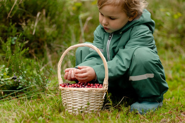 Similar image 22578516