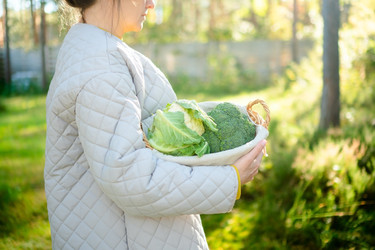 Similar image 22578485