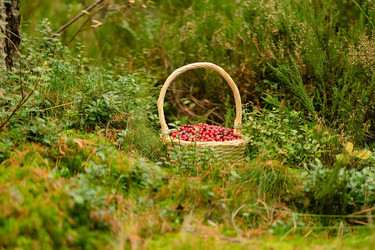 Similar image 22578486