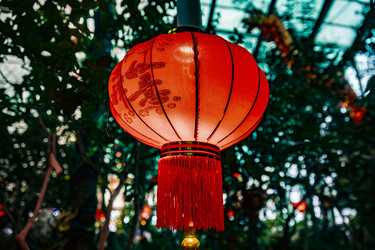 Similar image 22527700