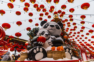 Similar image 22527701