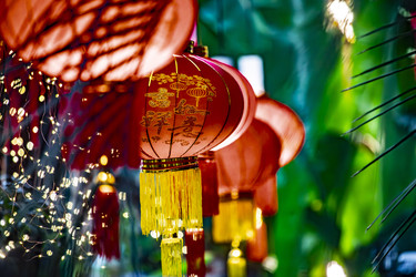 Similar image 22527704