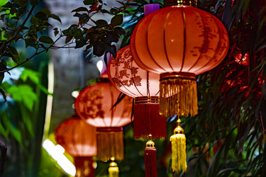 Similar image 22527709