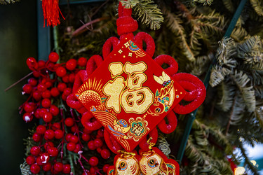 Similar image 22527711