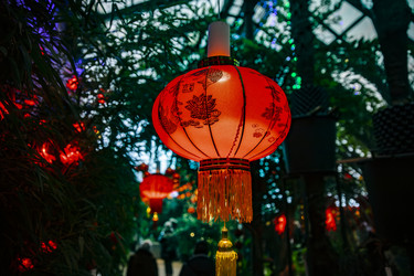 Similar image 22527712