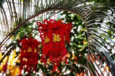 Similar image 22527713