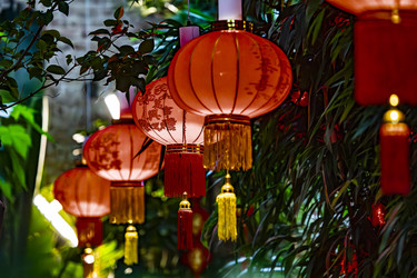 Similar image 22527714