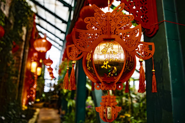 Similar image 22527731