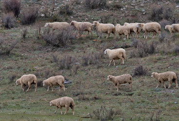 Similar image 22577604