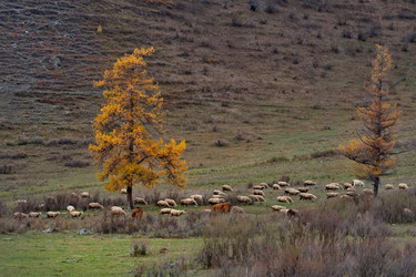 Similar image 22577605