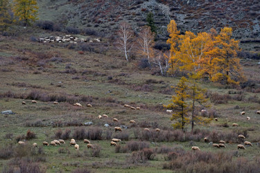 Similar image 22577606