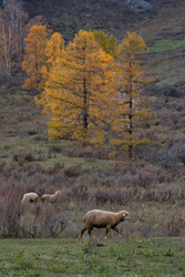 Similar image 22577607