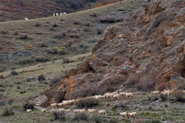 Similar image 22577608