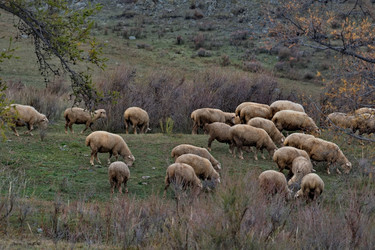 Similar image 22577609