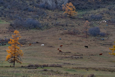 Similar image 22577610