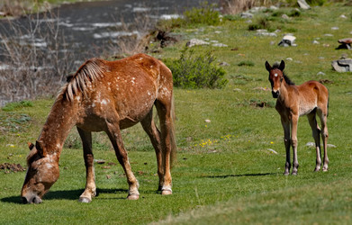 Similar image 22577611