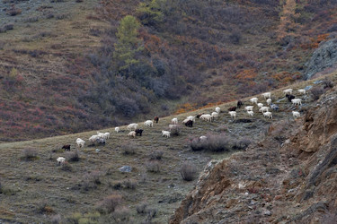 Similar image 22577612