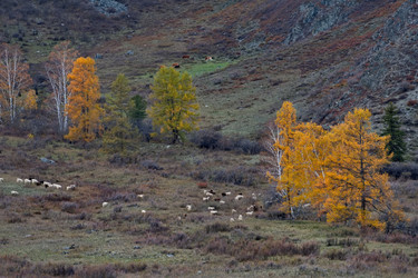 Similar image 22577613