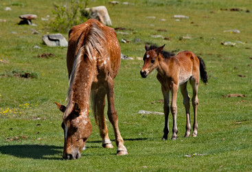 Similar image 22577619