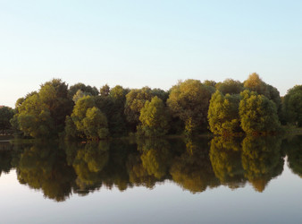 Similar image 22534853