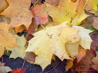 Similar image 22534855