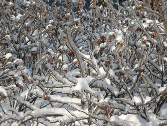 Similar image 22534874