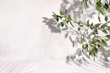 Similar image 22527889