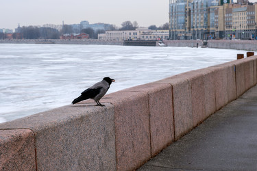 Similar image 22551188